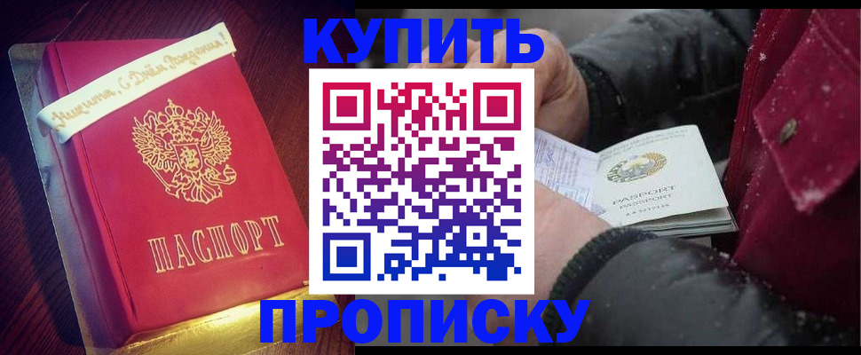 прописка гарантия в Оленегорске